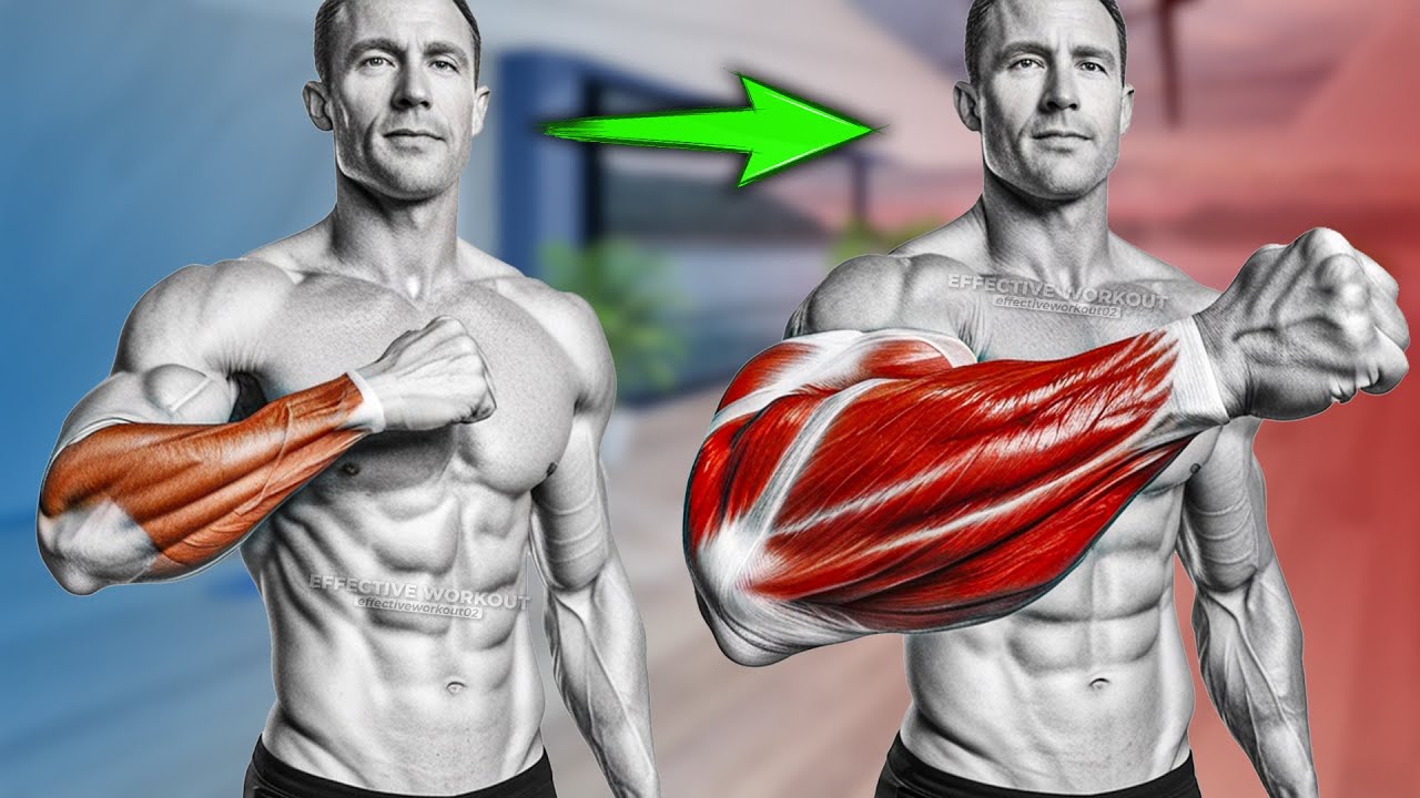 5 BEST Exercises for Bigger Forearms Workout - YouTube