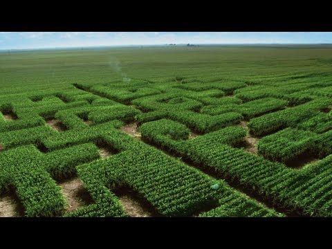 Idaho's 18-acre Pac-Man corn maze