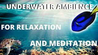 Underwater Ambience For Sleeping and Meditation - Sea Life Relaxing Music by More Relaxed Synergy 930 views 3 years ago 4 hours, 30 minutes