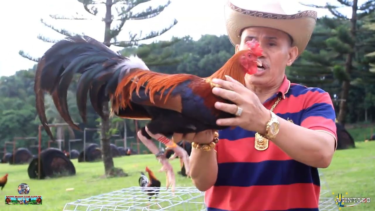 #1. 12-Personal Bc Materials.