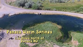 Panaca Warm Springs