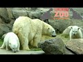 Toledo zoo tour  review with the legend