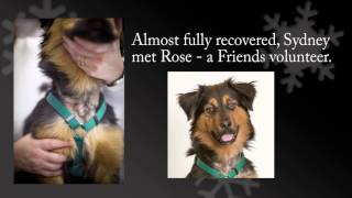 Sydney receives a second chance