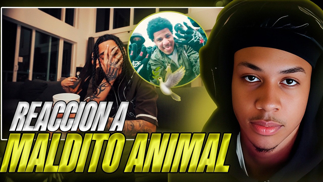 “¿ÚLTIMA TIRADERA? 😳 LAJA LE RESPONDE a MEMO ATR | Onguito FN reacciona a ‘Maldito Animal’”