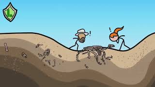 Why Most Fossils Are Incomplete