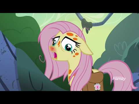 mlp fim fluttershy vs flash bees most popular videos