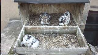Main Camera - 06/06/26