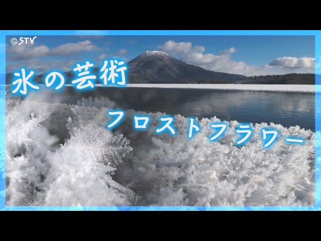 絵画　窓の氷の華 絵本『雪窓』 | みちのそら STORE