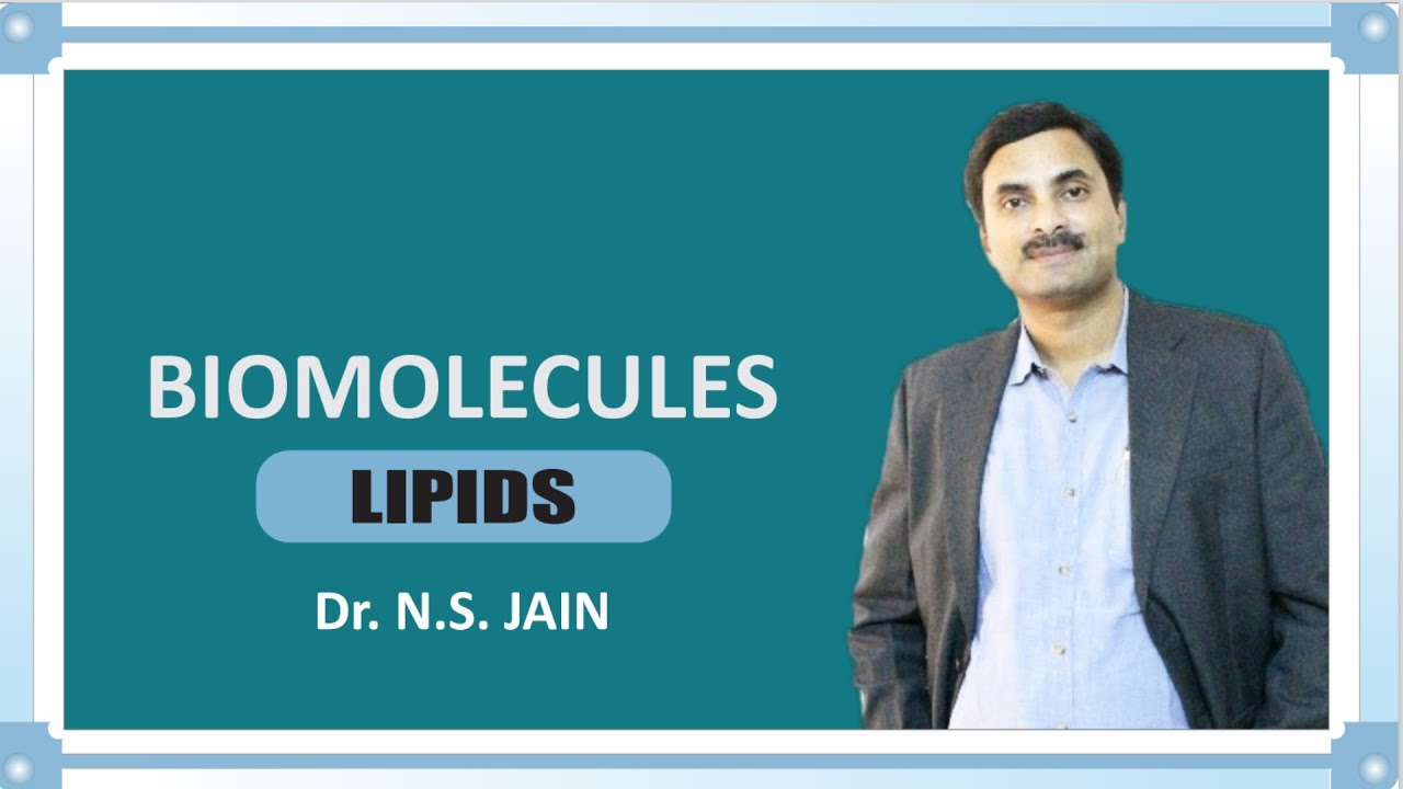 Lipids (Biomolecules) Hindi Medium YouTube