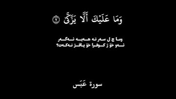 القارئ محمد الفقيه من #سورة_عبس