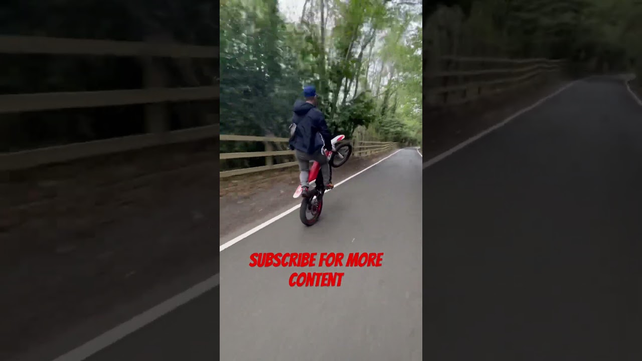 Rfn electric dirtbike 