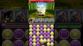 ランキングダンジョン ヤタガラス杯  270702点  【パズドラ】