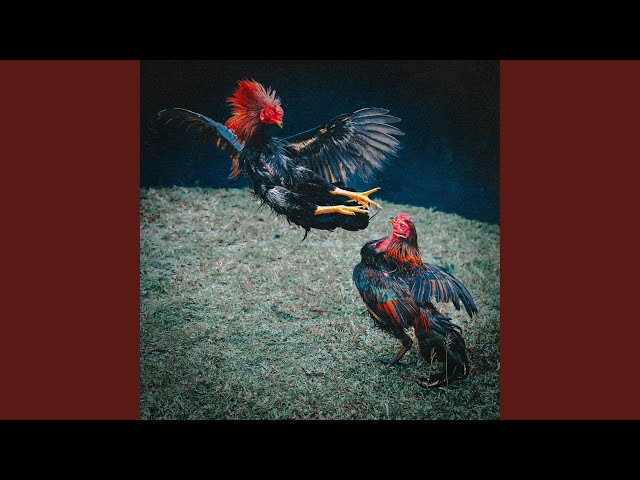 Room Full of Gangsters