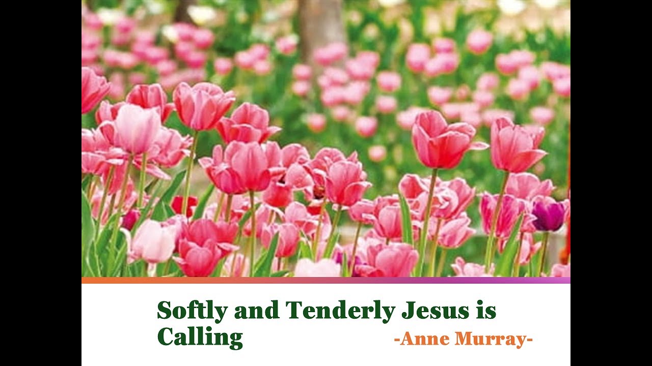 Softly and Tenderly Jesus is Calling - Anne Murray예수가 우리를 부르는 소리-앤 머리lyrics Softly and Tenderly Jesus is Calling - Anne Murray예수가 우리를 부르는 소리-앤 머리lyrics