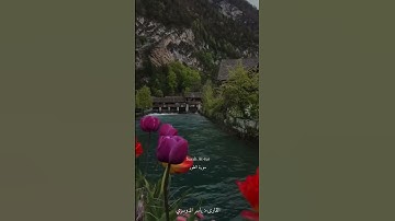 ما تيسر من سورة الطور بصوت الشيخ ياسر الدوسري 🤍