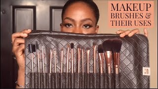 Basic Makeup Brushes And Their Uses (Beginner-Friendly) | Omobola Missglam