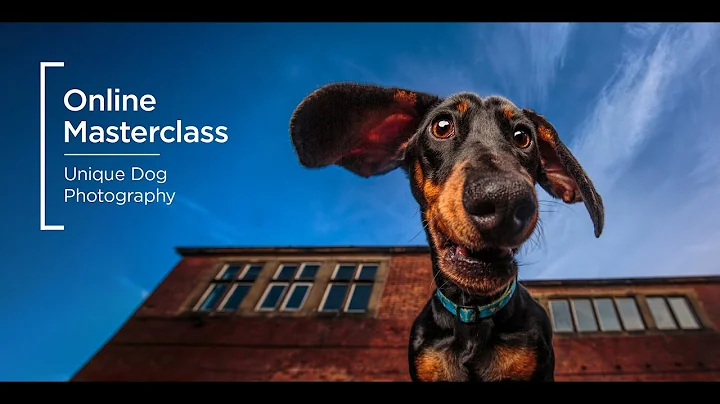 Online Masterclass | Unique Dog Photography with C...