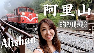 阿里山的初體驗搭小火車看超巨大神木入住阿里山賓館 ll Alishan Taiwan