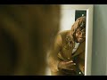 Ohana Bam - Camera Rollin' [Official Music Video]