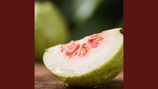 Nongkrong Sdanai Lupa Jam