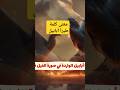 معنى طيرا أبابيل القرآن الكريم اكسبلور معلومات 