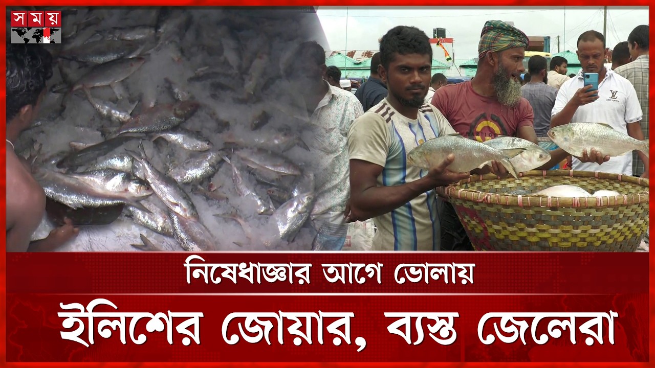 ভোলার নদীতে ইলিশের দেখা মিললেও স্বস্তি নেই জেলেদের  | Bhola News | Fisherman | Somoy TV