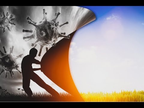 ¿Podemos volver a encaminarnos post-pandemia? ¿Queremos? /Roja, En Vivo