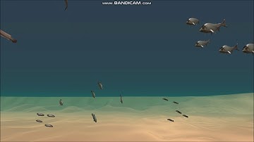 African fish, Unity engine