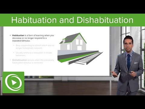 Habituation and Dishabituation: Definition & Examples – Psychology & Sociology | Lecturio