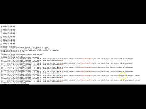 Docker con SQL SERVER