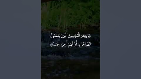 القارئ ياسر الزيلعي - الكهف | مقاطع قرآن قصيرة وحالات واتس إسلامية 🌱