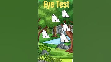 Kitni Billi Hai? Batao! | How Many Cats Are There? | Eye Test Challenge#shortsfeed#shorts#catlovers