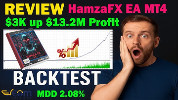 HamzaFX EA MT4 Review Backtest Performance Profit $13.2M in 17 month | EcomForex