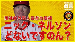 『阪神タイガース』阪神新外国人最有力候補／ニック・ネルソンどないですのん？