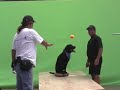 Get your dog in commercials!