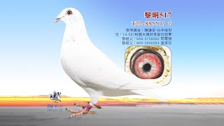 【陳謙安】T22-885517