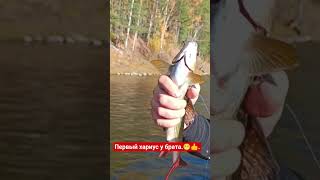 #хариус #восточныесаяны #балда #fishing