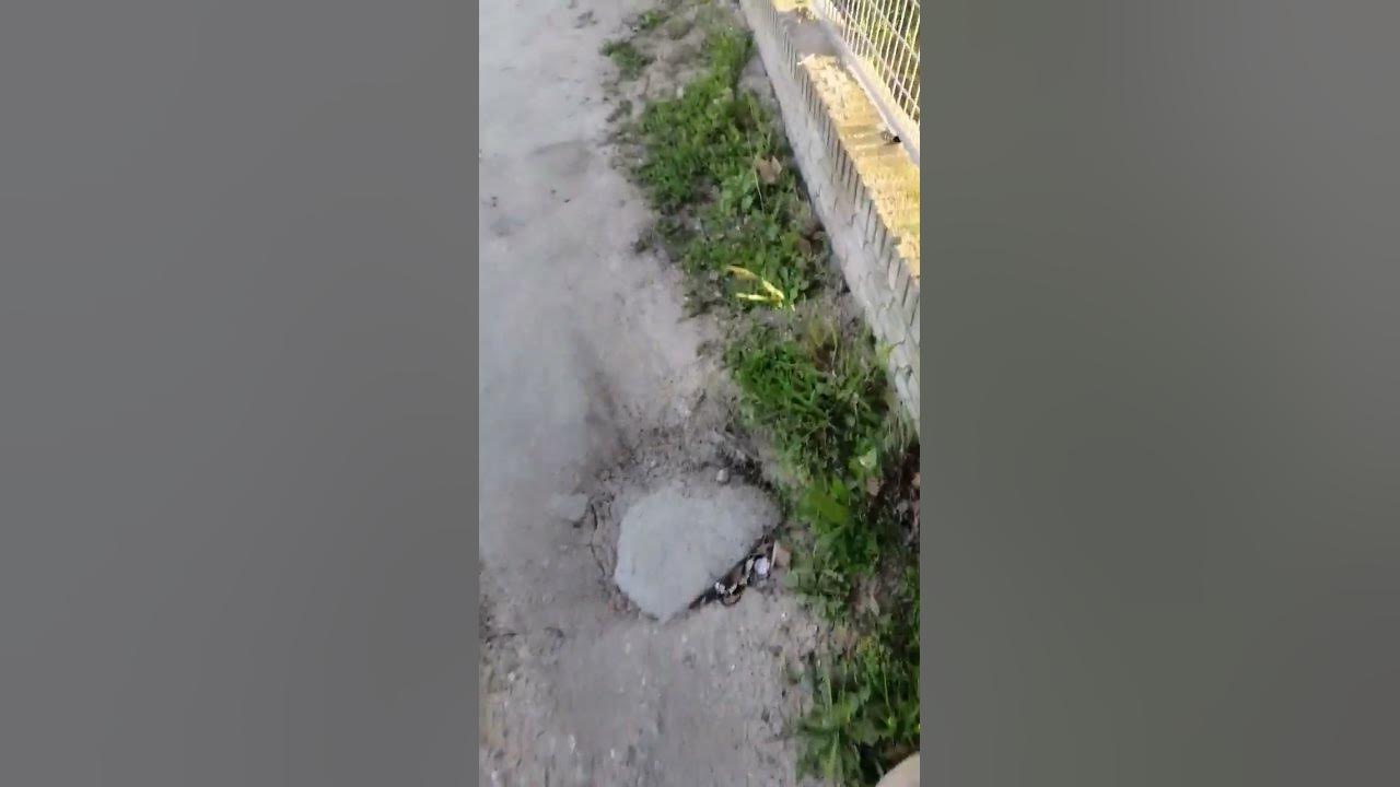Испания, Мадрид, магазин Меркадона - YouTube