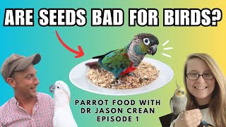 ARE SEEDS BAD FOR BIRDS? Parrot Food with Dr Jason Crean Episode 1 | BirdNerdSophie