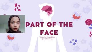 ICT and Multimedia individual task | Part of the face presentation 