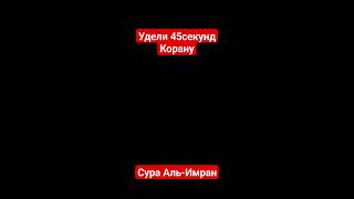 Сура Аль-Имран #ислам #коран #сура #мусульмане