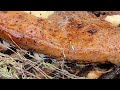Juicy Steak on Open Fire 🔥 ASMR Outdoor Cooking 