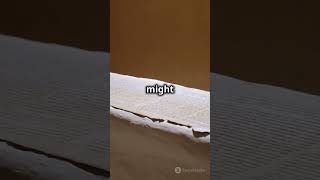 Ancient Scroll's Shocking Message: 'Disgust'