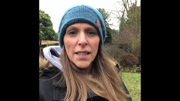 Reception: Communication and Language