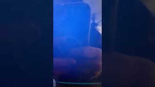 Use this sound to get more views