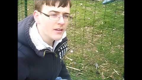 Jack Lee IOT Coop Video demonstration