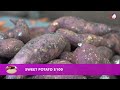 Market Bag: Episode 21