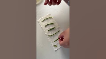 cutting orchid stem to regrowth