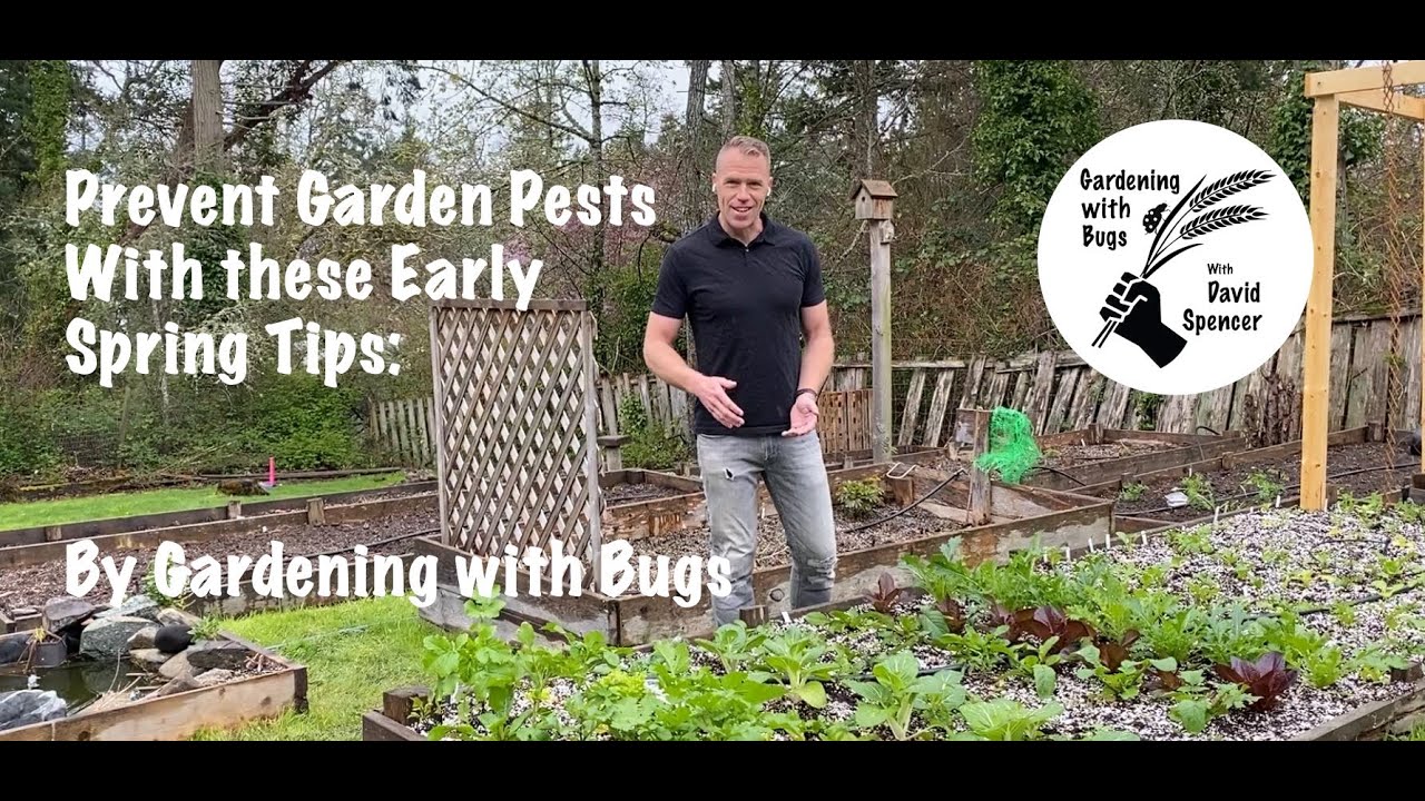 Prevent Garden Pests with these Early Spring Tips