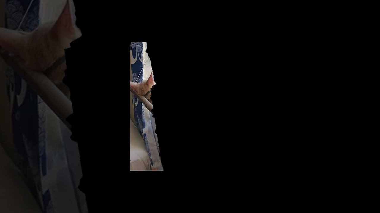 Window Cat Hammock Bed – Hanging Seat for Kittens & Cats up to 20kg